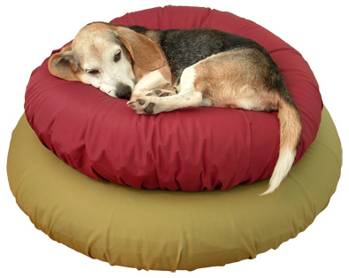 Gertie on stacked 30 and 36 inch  airbeds with nylon slipcovers