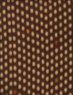 DOT PATTERN - FLEECE cover/airbed set-brown, neutrals, dots, fleece, polyester, pet bed, dog bed, cat bed, pet air bed, orthopedic support, veterinarian recommended, machine washable, machine dry slipcovers, apparel fabric, easy change, sustainable, eco-friendly, dog, cat, claw and nail proof, vet recommended, environmentally responsible, pet bed, dog bed, cat bed, natural nest, nesting area, long lasting, never compresses, replacement slipcovers, handcrafted, made in Michigan, made in USA, snazztastic, fashion covers, home decor, style, ARNO, Animal Rescue New Orleans